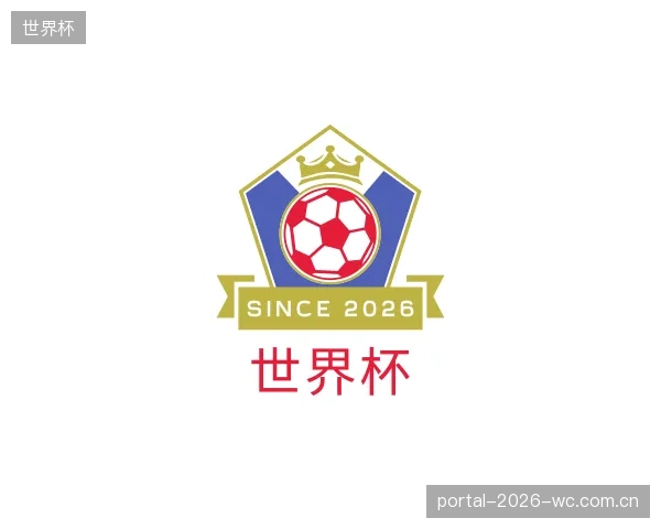 发现世界杯团队